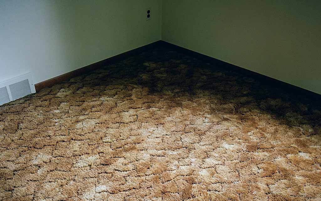Exalted Eagles room